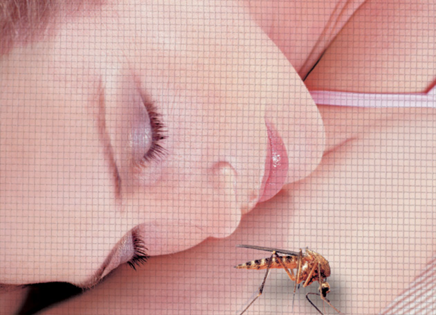 Tischlerei Brummert in Beelen - Insektenschutz Tischlerei Brummert in Beelen - Insektenschutz